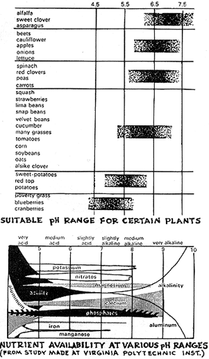 
Ph of soil.
